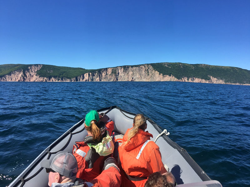 cape breton whale watching tour